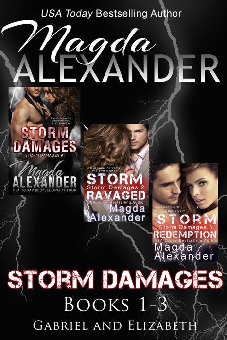 Storm Damages Boxed Set (Books 1-3)