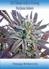 The Ultimate Guide to Growing Marijuana Indoors