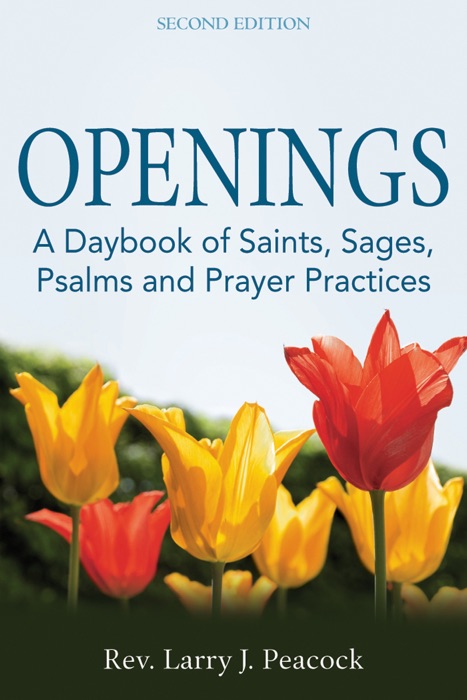 Openings (2nd Edition)