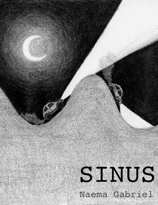 SINUS