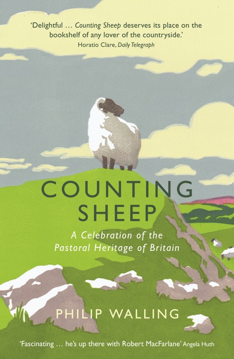 Counting Sheep