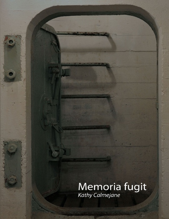 Memoria Fugit (ebook)