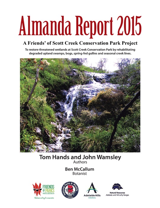 Almanda Report 2015