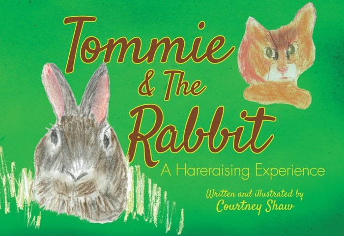 Tommie and the Rabbit