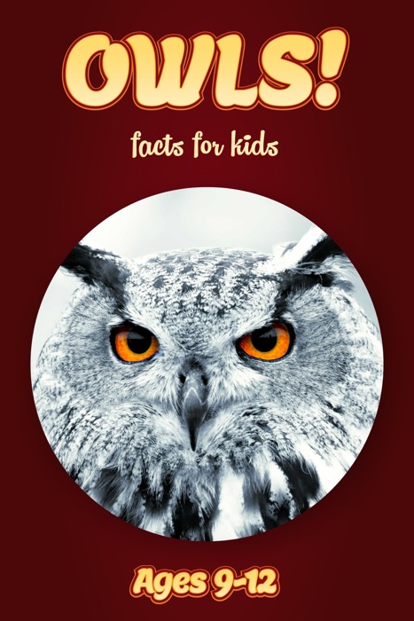 Owl Facts For Kids 9-12