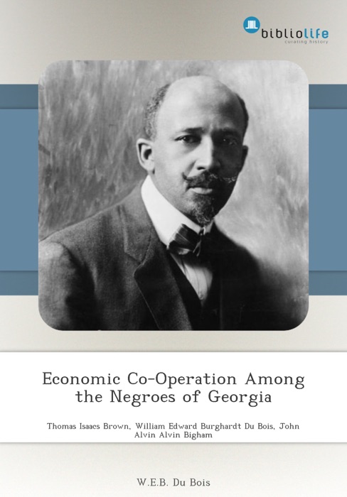 Economic Co-Operation Among the Negroes of Georgia