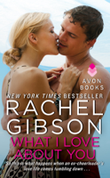 Rachel Gibson - What I Love About You artwork