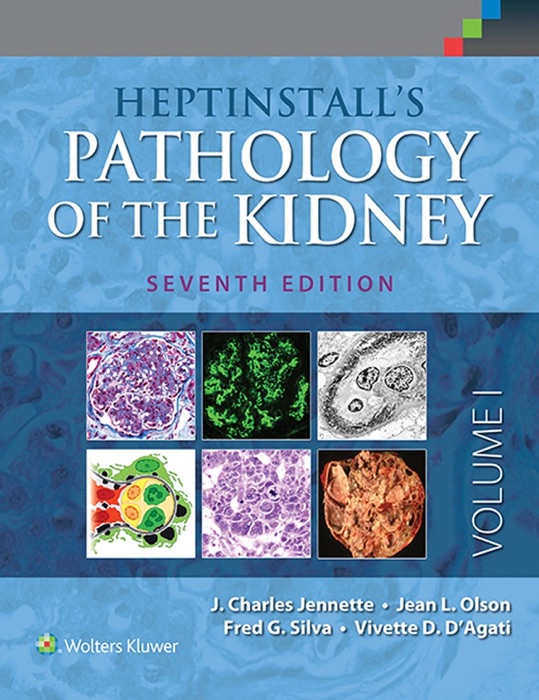 Heptinstall's Pathology of the Kidney: Seventh Edition - Volume 1