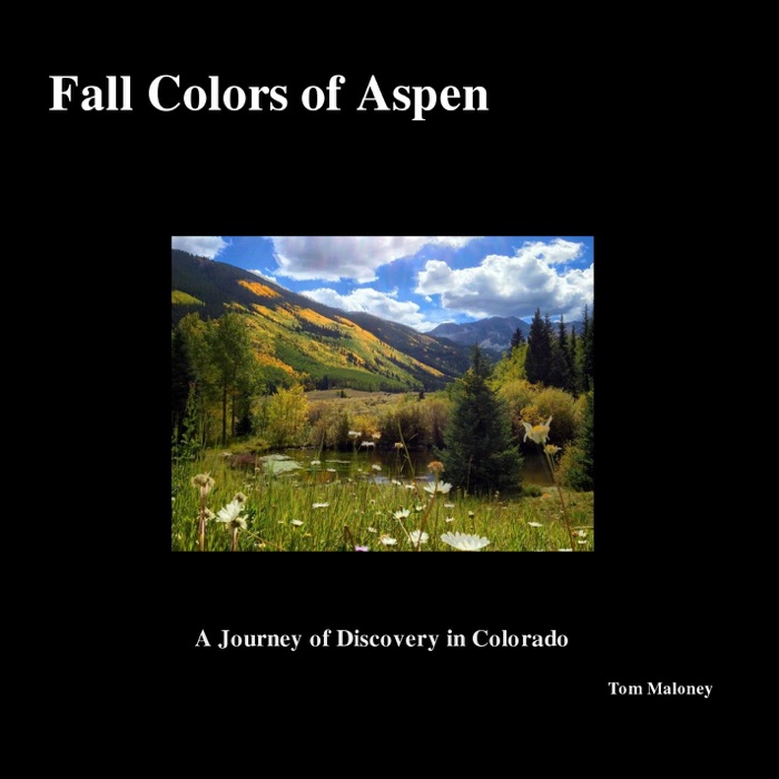 Fall Colors of Aspen