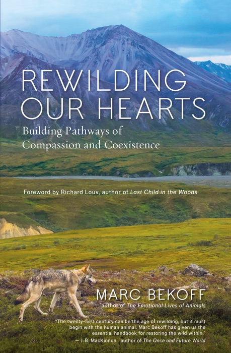 Rewilding Our Hearts