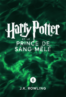 J.K. Rowling & Jean-François Ménard - Harry Potter et le Prince de Sang-Mêlé (Enhanced Edition) artwork