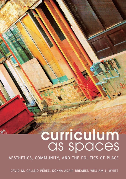 Curriculum As Spaces