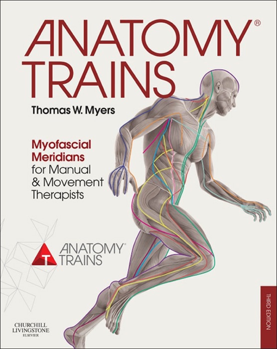 Anatomy Trains