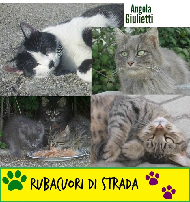 Rubacuori di strada