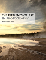 Trent Sizemore - The Elements of Art In Photography artwork