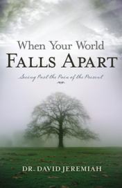 When Your World Falls Apart