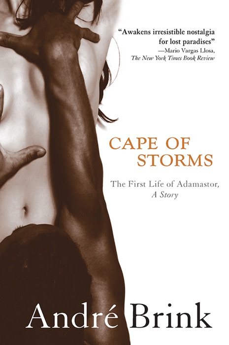 Cape of Storms