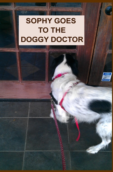 Sophy Goes To The Doggy Doctor