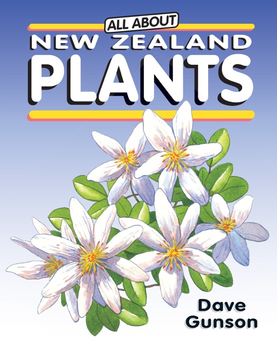 All About New Zealand Plants