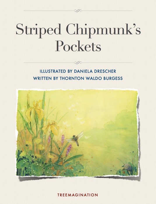 Striped Chipmunk’s Pockets