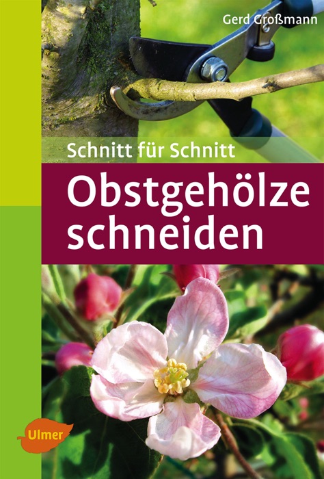 Obstgehölze schneiden