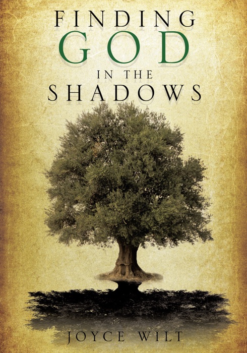 FINDING GOD IN THE SHADOWS