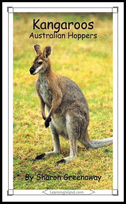 Kangaroos: Australian Hoppers