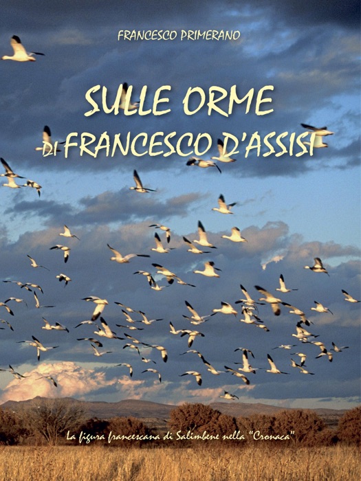 Sulle orme di Francesco d'Assisi