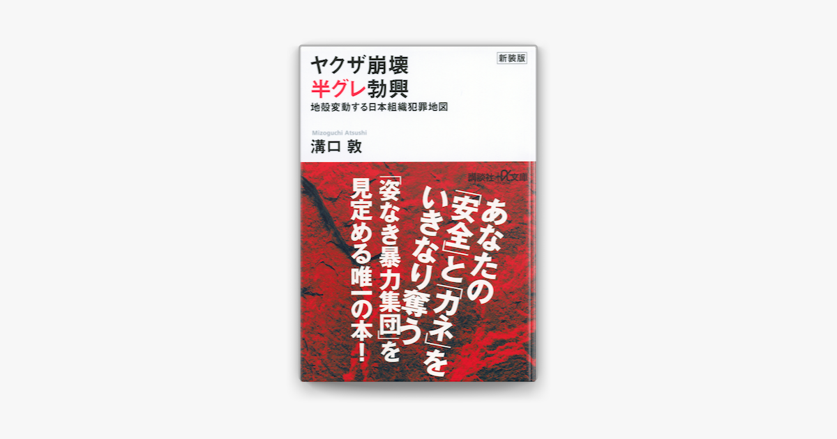 新装版 ヤクザ崩壊 半グレ勃興 地殻変動する日本組織犯罪地図 On Apple Books