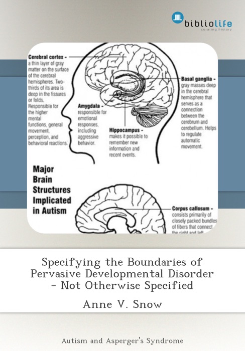 Specifying the Boundaries of Pervasive Developmental Disorder - Not Otherwise Specified