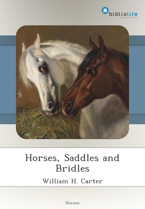 Horses, Saddles and Bridles