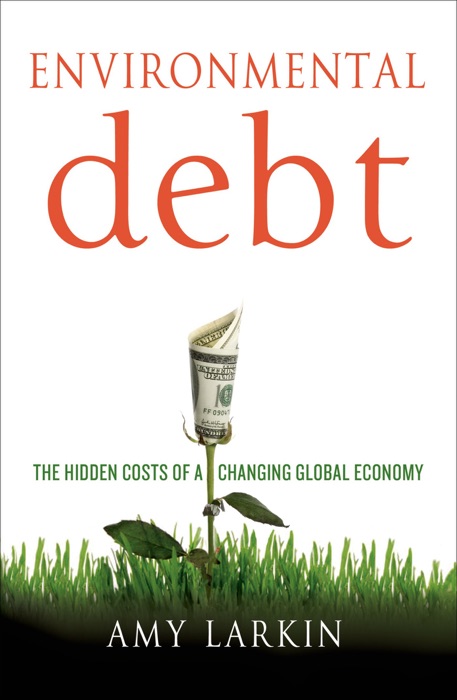 Environmental Debt