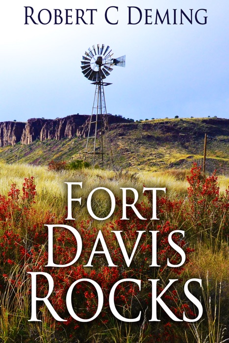 Fort Davis Rocks
