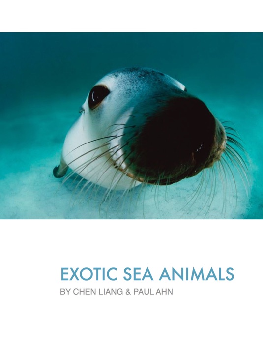 Exotic Sea Animal