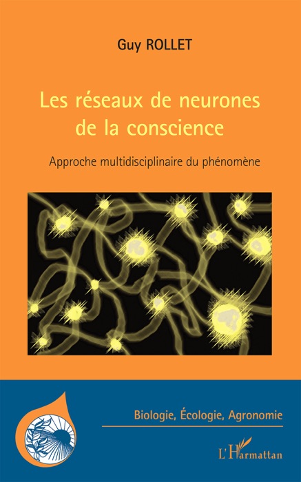 Les réseaux de neurones de la conscience