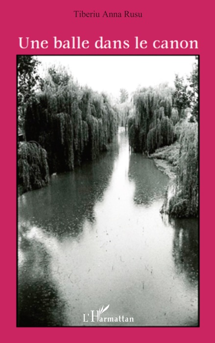 Une balle dans le canon