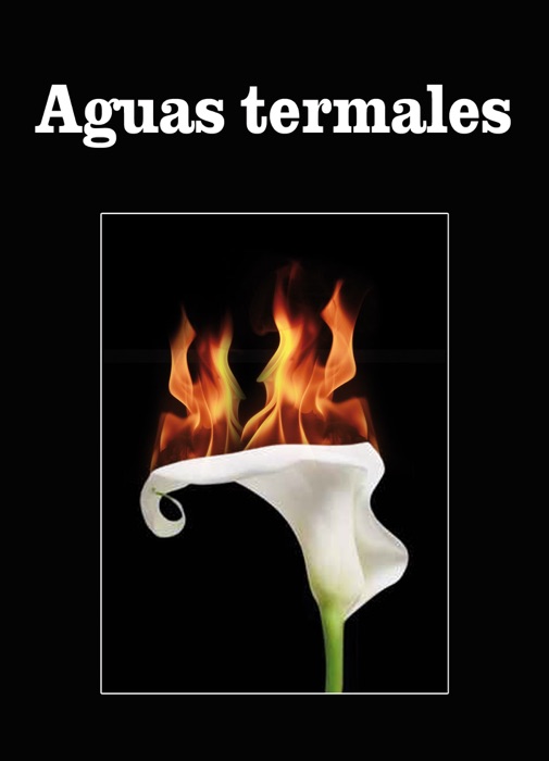 Aguas termales