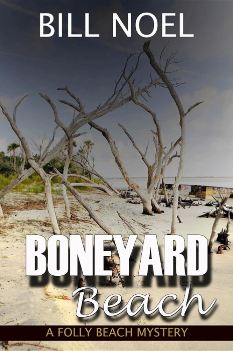 Boneyard Beach