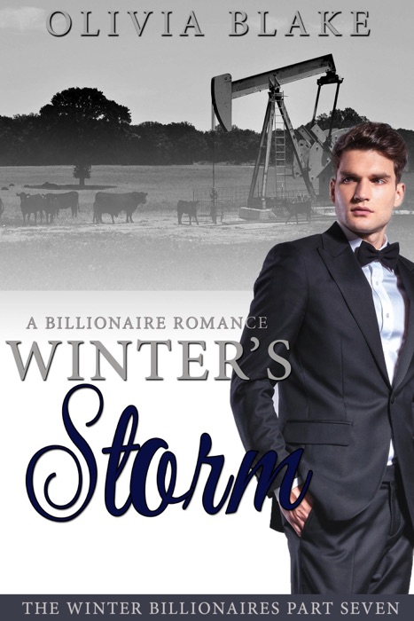 Winter's Storm: A Billionaire Romance