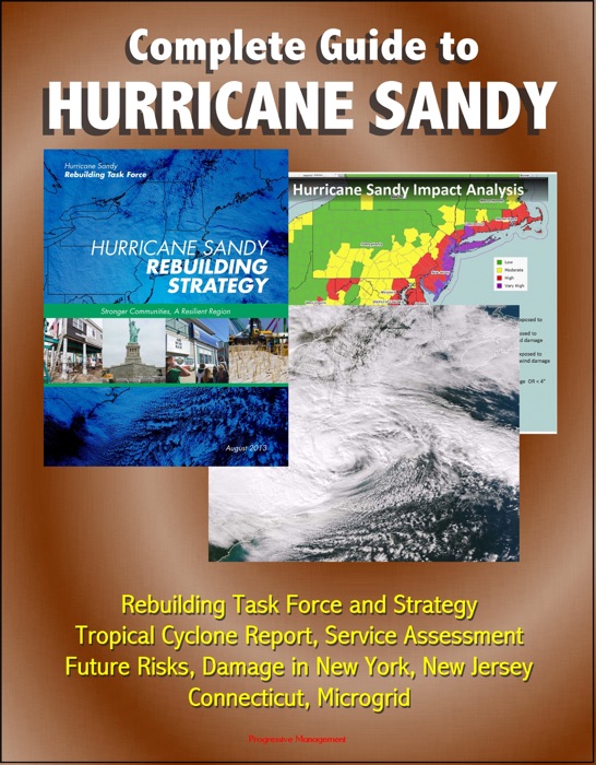 Complete Guide to Hurricane Sandy: Rebuilding Task Force and Strategy, Tropical Cyclone Report, Service Assessment, Future Risks, Damage in New York, New Jersey, Connecticut, Microgrid