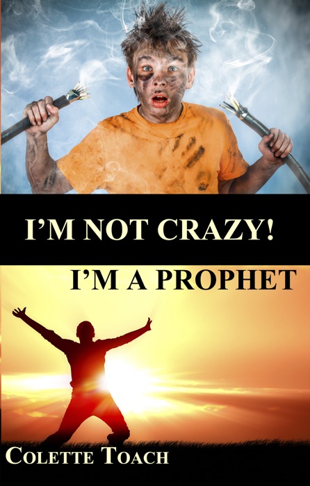 I'm Not Crazy, I'm A Prophet