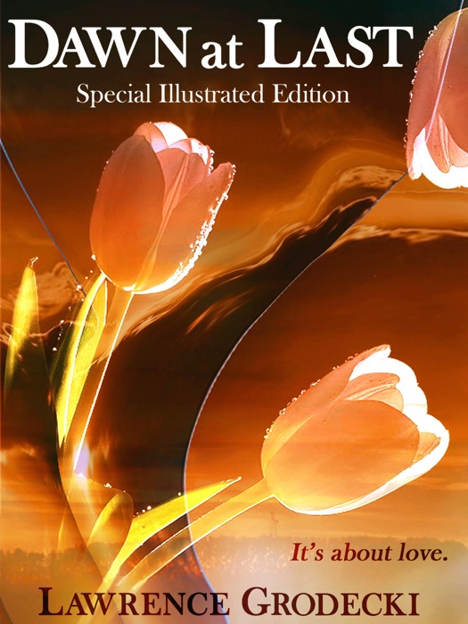 Dawn at Last: Special Illustrated Edition