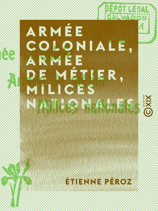 Armée coloniale, armée de métier, milices nationales