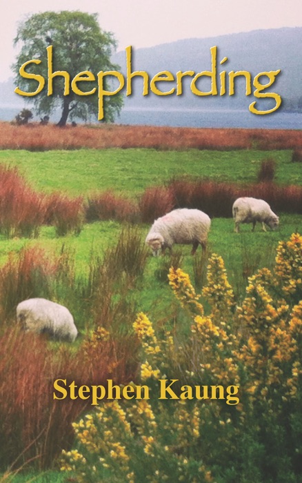 Shepherding