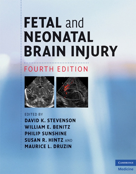 Fetal and Neonatal Brain Injury: Fourth Edition