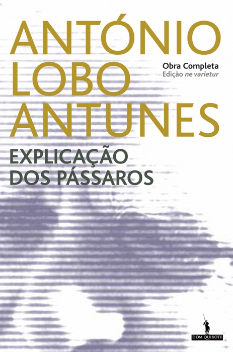 Explicação dos pássaros