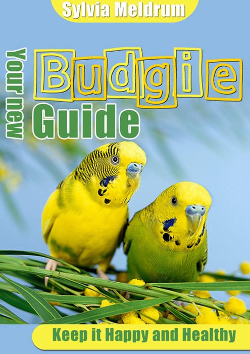 Your New Budgie Guide