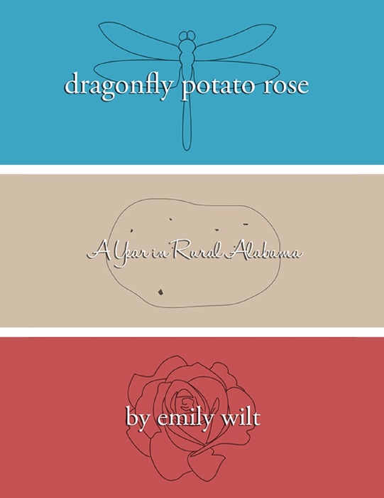 Dragonfly Potato Rose