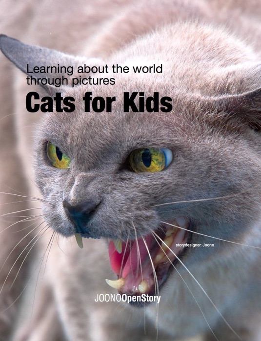 Cats for Kids