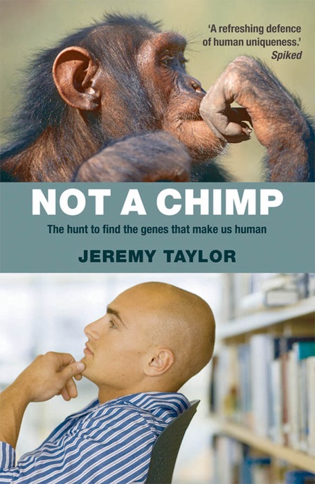 Not a Chimp